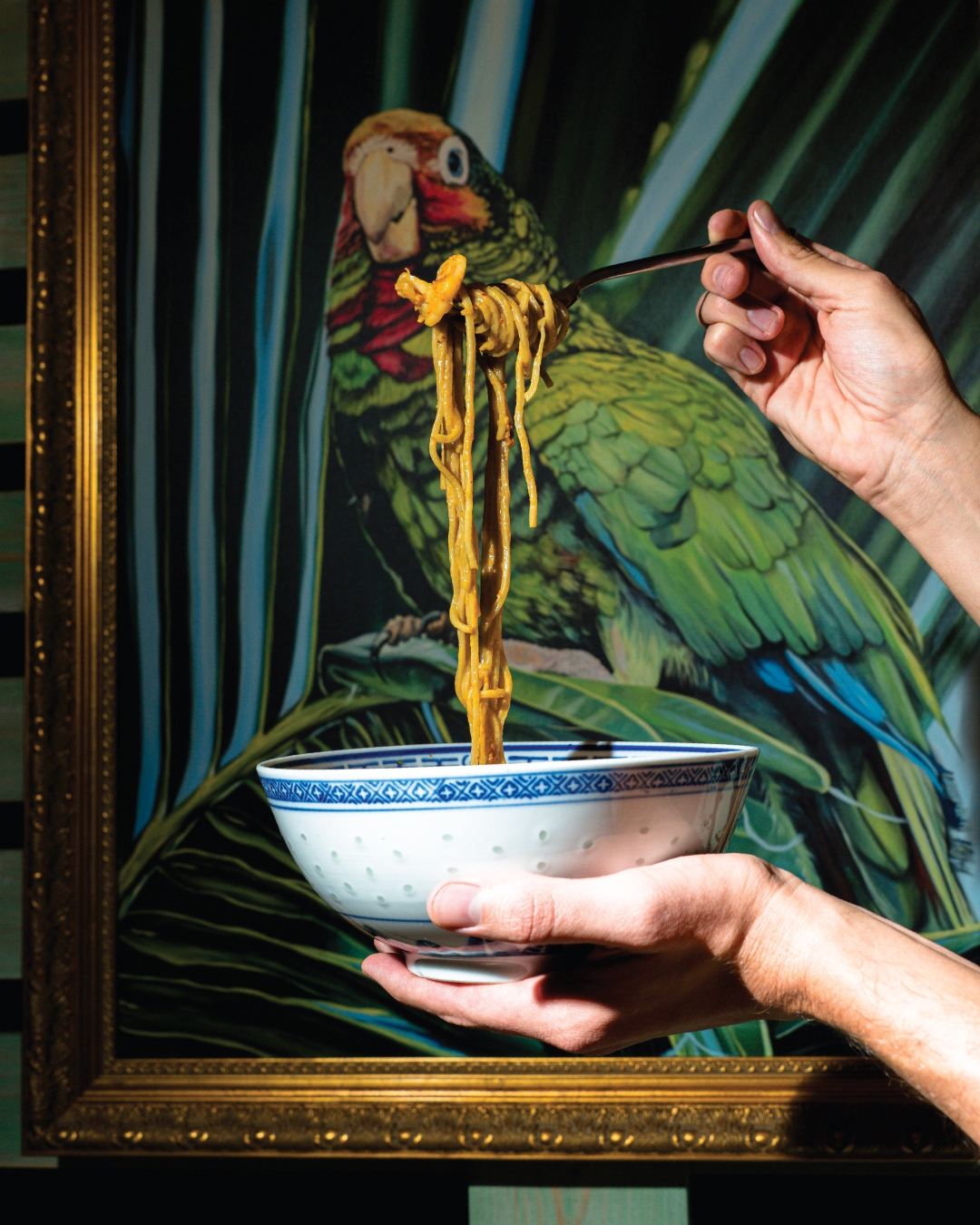 Home Coco noodles served over parrot artwork.